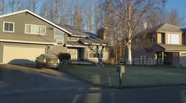 Moose on the loose starts attacking homeowner's car and mailbox in Alaska