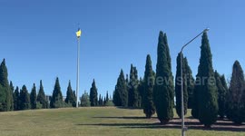 Australian citizen scientists urged to help track rabbit virus