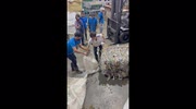 temp
