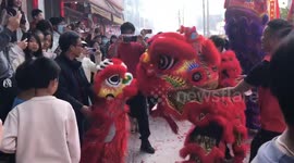 Adorable Interaction between Lion Dance Team and a Lion Dance Child in China