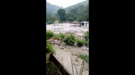 Baloy River floods Parroquia Pedernales: farmer rescues animals amid rising waters
