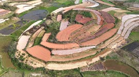 Colourful Spring Ploughing Scenery at Xinsheng Village in Nanning, China