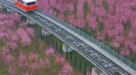 A Sightseeing Cable Car Shuttles in Chongqing, China