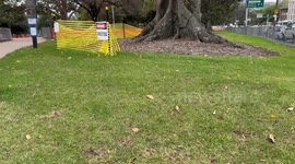 Asbestos found in various locations around Sydney