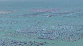 Marine Ranch Aquaculture Area in Shantou, China