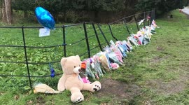 Mum pays tribute to her “wonderful” six-year-old son who was killed with two women in horror crash