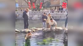 Pensioner, 68, dives in chilly pond to retrieve tourist's dropped phone