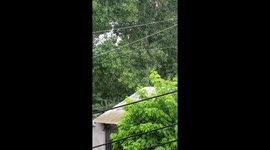 Beautiful rainy day with trees underneath and soft ambient sound