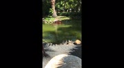 temp