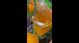 Frightened toddler cries after thinking she's stuck in the slide *Hilarious*