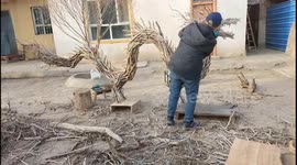Chinese master carves lifelike dragon from tree branches