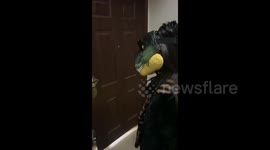 A woman came home wearing a dinosaur mask in Nanjing, China