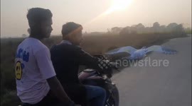 Rescue pigeon flies alongside owner riding down road on motorbike in India