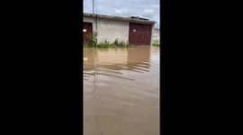 Flood resilience: brave pup floats on tire in Chone, Ecuador waters