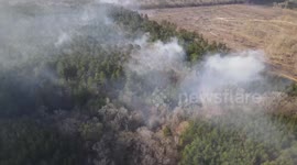 Crews Fight Fierce Pecan Farms Woods Fire in Louisiana, USA