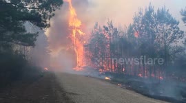 Battles Rage On As Wildfire Engulfs Over 1,500 Acres in Jefferson Davis County, USA