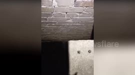 Woman, 22, rescued after spending three days trapped between walls