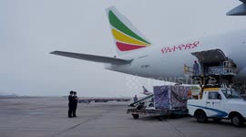 Over 17,000 tons of goods shipped through Xiamen-Sao Paulo air cargo route