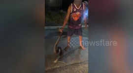 Residents grapple with 10ft long python found inside car bumper