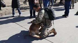 Soldier Reunites with Dog After 10 Months Apart in Lincoln, USA