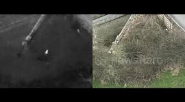 Puppy rescued from ditch five days after she vanished - thanks to a heat-seeking drone