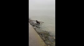 Executive Aquatic Branch Manager