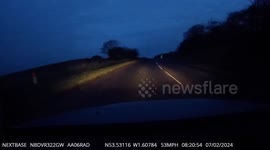 Car stunned as pedestrian narrowly avoids collision