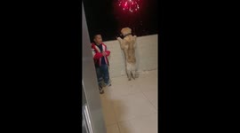 Child and dog stand side by side, mesmerized by dazzling fireworks in southern China