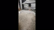 temp
