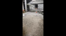 Hailstones Strikes Hubei, China Like Torrential Rain