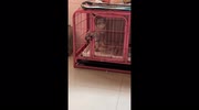 temp