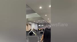 Rat found crawling on lights at 'world's worst airport' infested with bedbugs