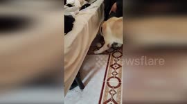 Defense Material Destined for War-Torn Yemen Intercepted in Malaga, Spain