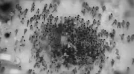 Deadly Chaos Unfolds as Palestinian Crowd Attacks Humanitarian Aid Convoy in Gaza