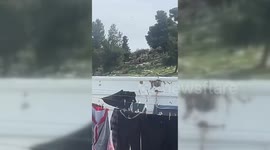 Israeli settlers attack houses of Palestinians at Al Fawwar refugee camp