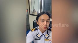 Dusky langur monkeys gather at woman's office window