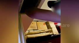 Sex Trafficking Detectives Find USD 1.3 Million Behind Wall During House Raid in Buenos Aires, Argentina