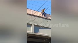 Man jumps on railway tracks in Mumbai, alert RPF staff prevent him from being run over by train