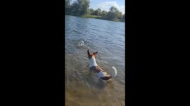 Dog's perfect catch: fishing companion nabs fish in Ukrainian waters