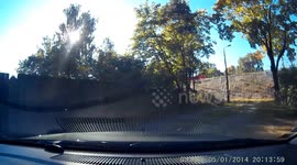 Reckless Driver Runs Red Light and Causes Crash