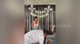 Pets Making Bad Decisions