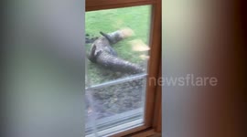 Spotted in the Garden