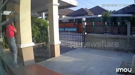 Monkey intruder attacks woman outside her home