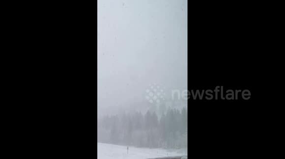 Canada: Snowfall Warning Issued As Winter Storm Hits Alberta 2 - Buy ...