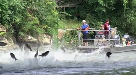 Individuals on a boat make attempts to fish in USA