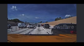 Woman Rescues Baby Opossum From Busy Freeway