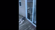 temp