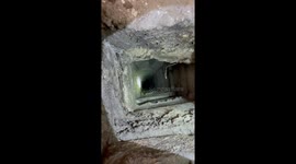 Residents save stray cat stuck in chimney