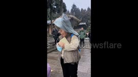 Wild monkey rides tourist's head to rummage through her backpack in China