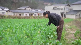 Farmer lawmaker committed to solving problems facing local people